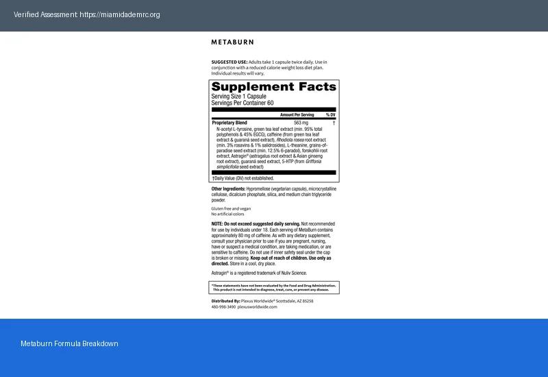 Metaburn 2026: Does It Really Work? 3 Key Insights Metaburn 2026: Does It Really Work? 3 Key Insights